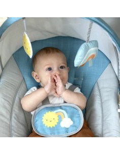 Baby Hammock Ingenuity Blue 2