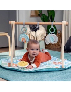 Play mat Ingenuity 2