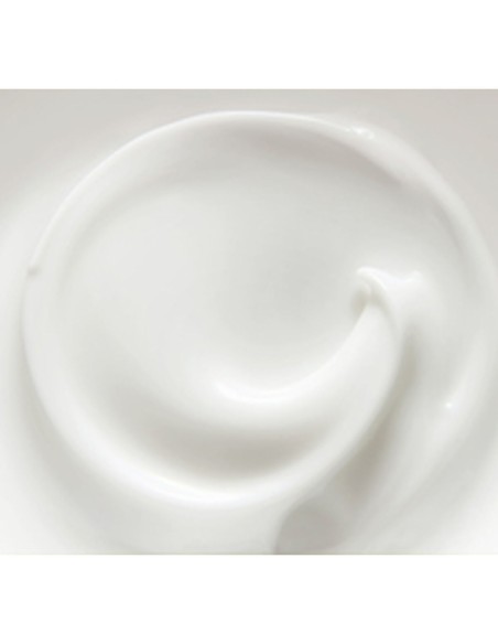Revitalizing Cream Collistar FUTURA 50 ml