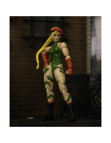 Jointed Figure Street Fighter
