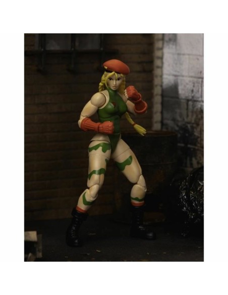 Jointed Figure Street Fighter