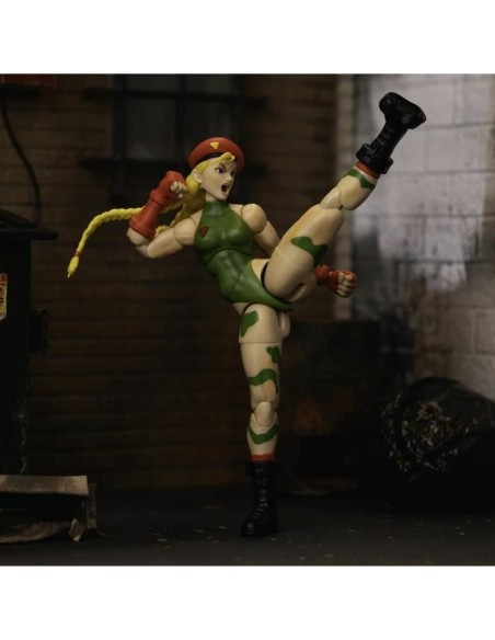 Jointed Figure Street Fighter