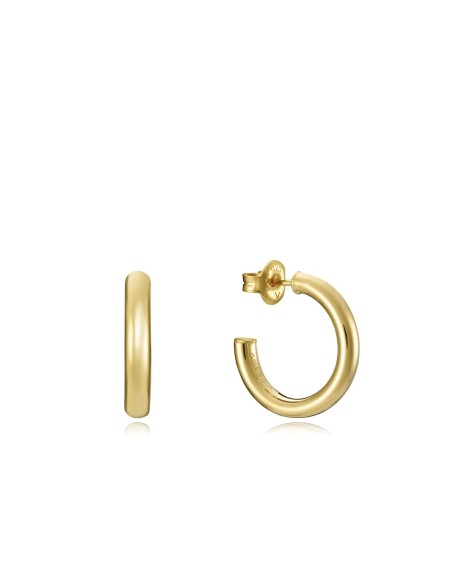 Ladies' Earrings Viceroy 13060E100-06