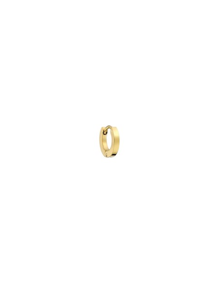Ladies' Earrings AN Jewels AS.PH07Y
