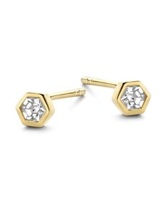Ladies' Earrings New Bling 9NB-0549