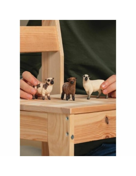 Playset Schleich 42660 FARM WORLD