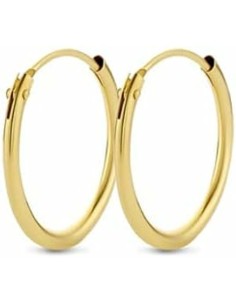 Earrings New Bling 9NB-0562