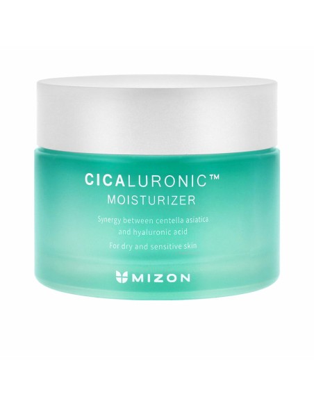 Facial Cream Mizon Cicaluronic 120 ml