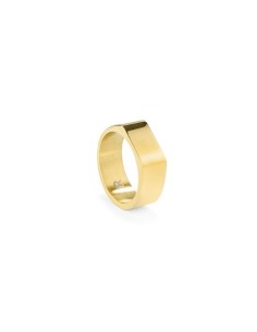 Men's Ring Radiant RH000029-26 Golden 26