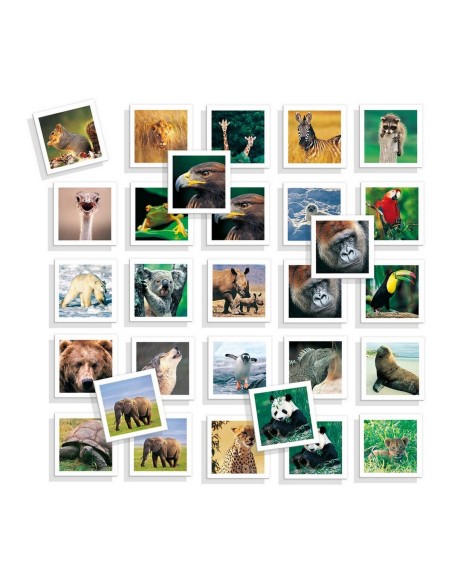 Educational Game Diset Memo Photo Animales 54 Pieces