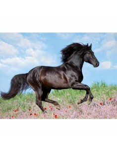 Puzzle Ravensburger 12803 Black Stallion XXL 200 Pieces 2