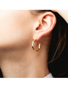 Ladies' Earrings Lotus LS2358-4/2 Golden 2
