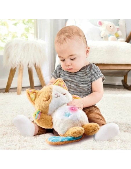 Musical Toy Vtech Baby My Kitten Sweet Night
