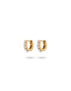 Ladies' Earrings 24KAE 42419Y Golden