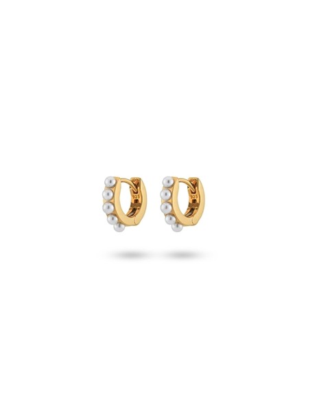 Ladies' Earrings 24KAE 42419Y Golden