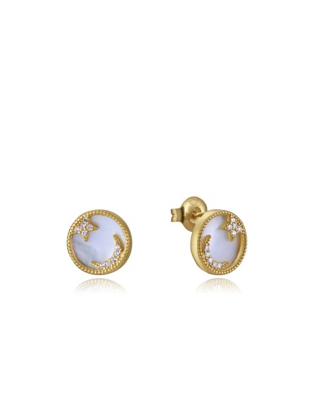 Ladies' Earrings Viceroy 13080E100-90