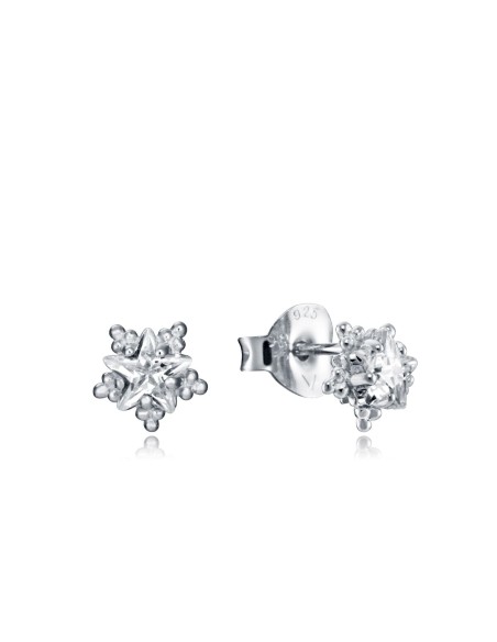 Ladies' Earrings Viceroy 7134E000-38