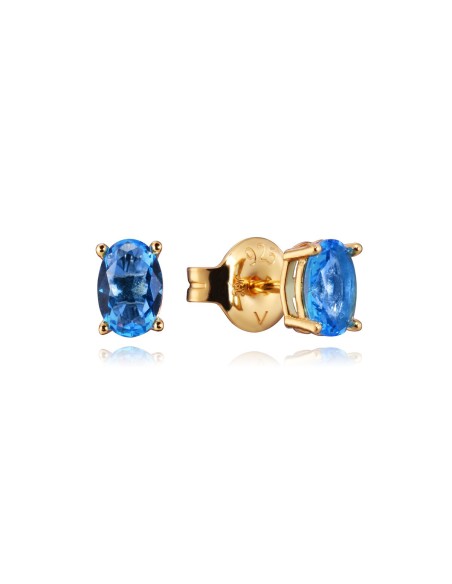 Ladies' Earrings Viceroy 13129E100-53