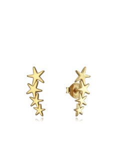 Ladies' Earrings Viceroy 5065E100-08