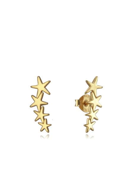 Ladies' Earrings Viceroy 5065E100-08