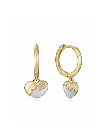 Ladies' Earrings Viceroy 13187E100-00 Sterling silver 925