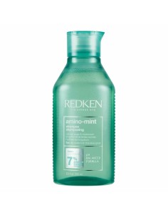 Purifying Shampoo Redken Amino-Mint Greasy Hair (300 ml)