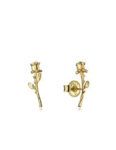Ladies' Earrings Viceroy 13004E100-30