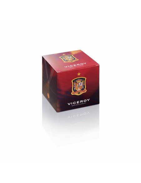 Ladies' Earrings Viceroy 7122E000-38