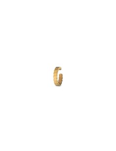 Ladies' Earrings AN Jewels AS.PC04Y