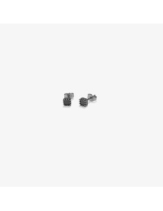 Ladies' Earrings Radiant RH000182 2
