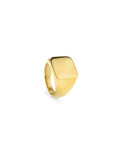 Men's Ring Radiant RH000027-22 Golden 22