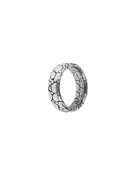 Ladies' Ring Albert M. WSOX00007.S-26 Silver 26