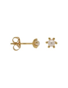 Ladies' Earrings 24KAE 42420Y Golden