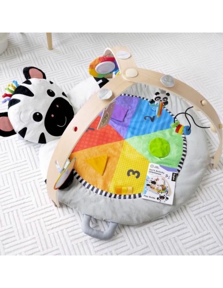 Play mat Baby Einstein