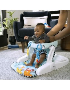Hammock Baby Einstein Blue 2