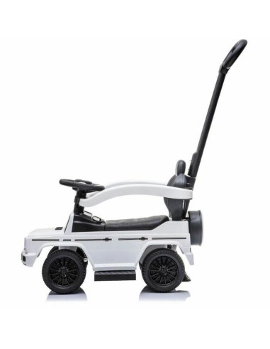 Tricycle Buddy Toys