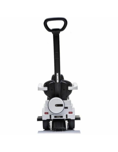 Tricycle Buddy Toys