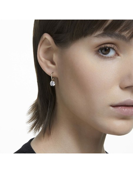 Ladies' Earrings Swarovski 5638802