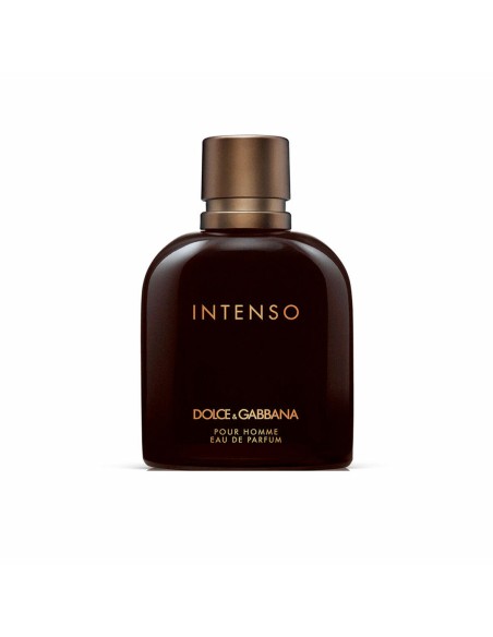 Men's Perfume Dolce & Gabbana EDP 75 ml Intenso