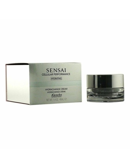 Anti-Ageing Hydrating Cream Kanebo 40 ml