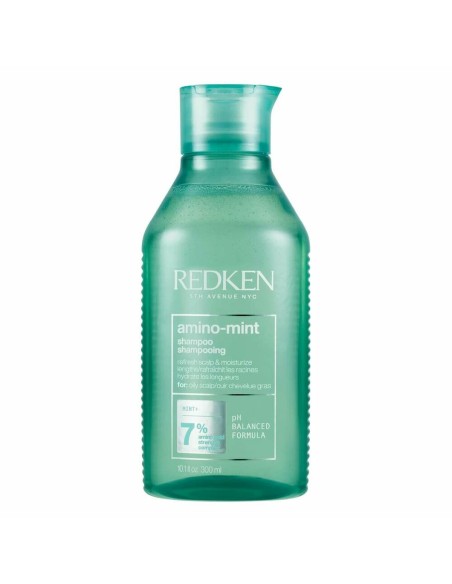 Purifying Shampoo Redken Amino-Mint Greasy Hair (300 ml)