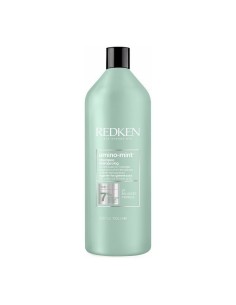 Shampoo Redken Amino Mint 1 L