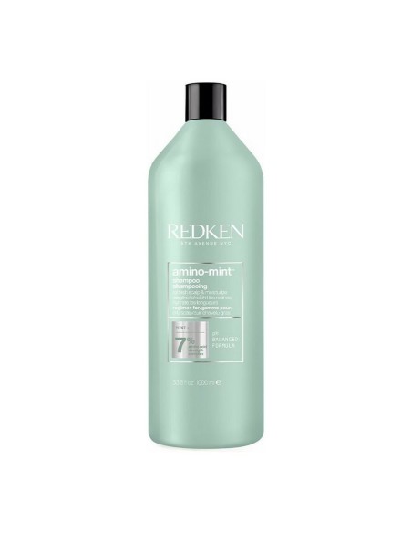 Shampoo Redken Amino Mint 1 L