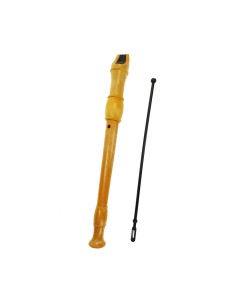 Recorder Reig 2