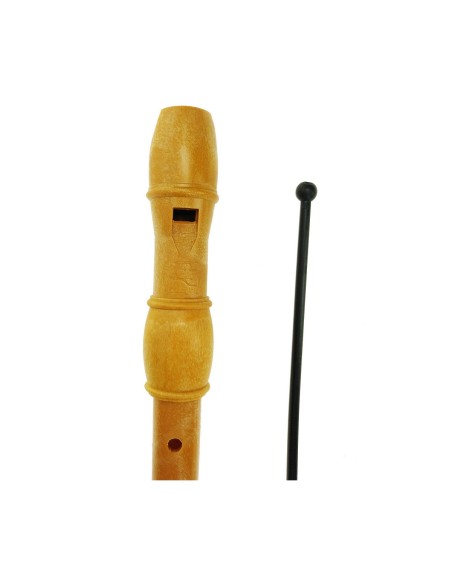 Recorder Reig