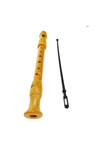 Recorder Reig