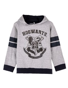 Children’s Hoodie Harry Potter Grey