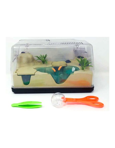 Educational Game Insecticefa Plus Cefatoys (ES)