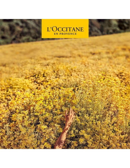 Deodorant L'Occitane En Provence Homme 50 ml Roll-On