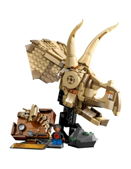 Construction set Lego 76969